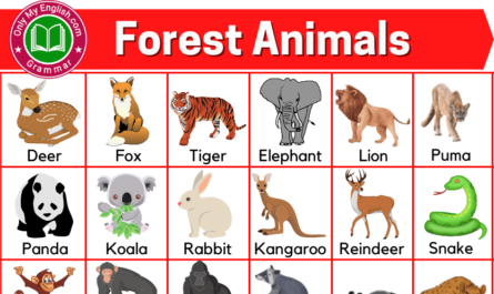 forest animals name