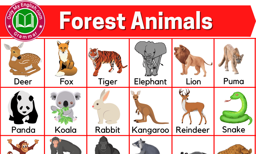 forest-animals-list-of-forest-animals-name-with-images-onlymyenglish