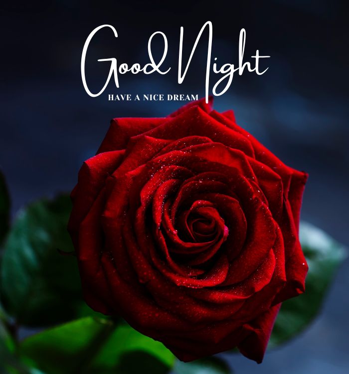 g night