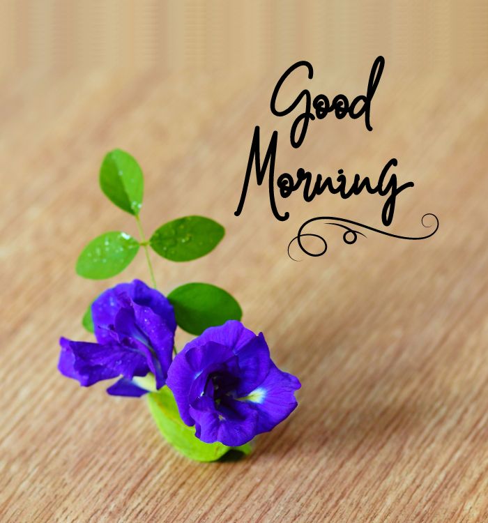 gd morning images