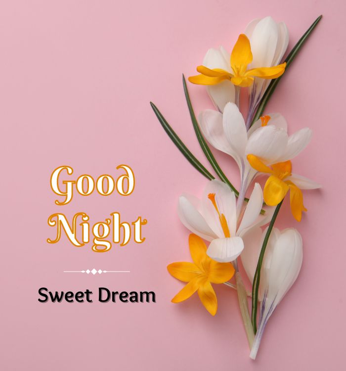 gd n8 pic