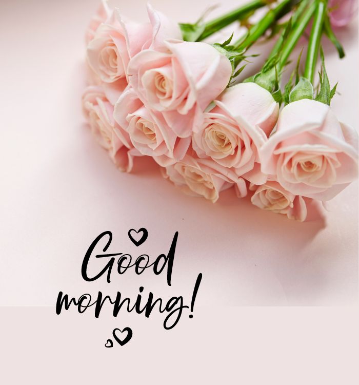 gm images new