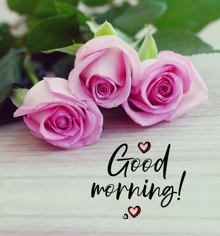 gm pic