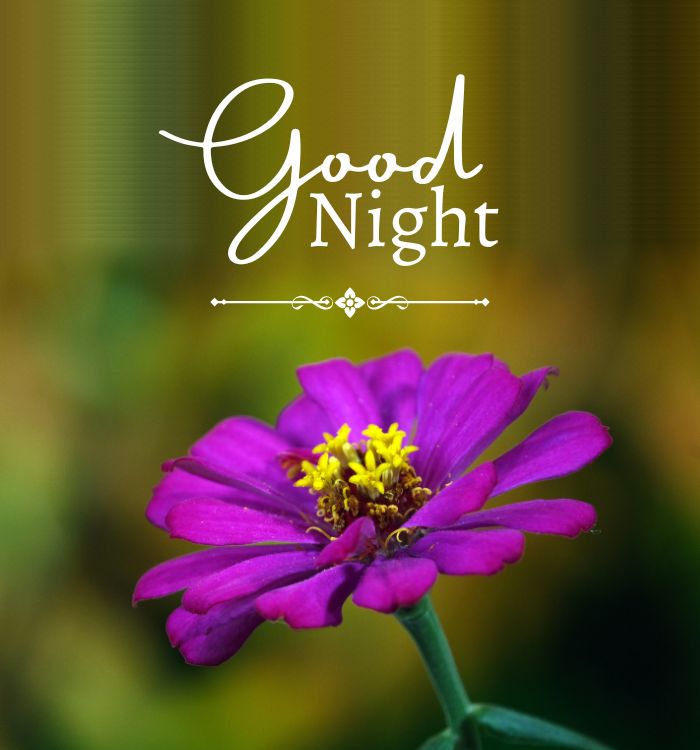 gn image