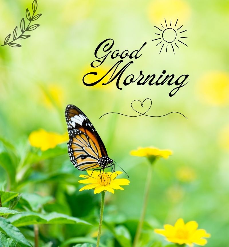 good morning