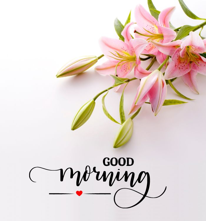 good morning dear images