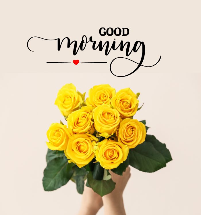 good morning flowers