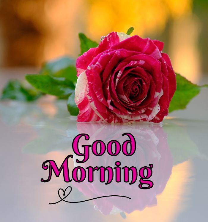 good morning gifs