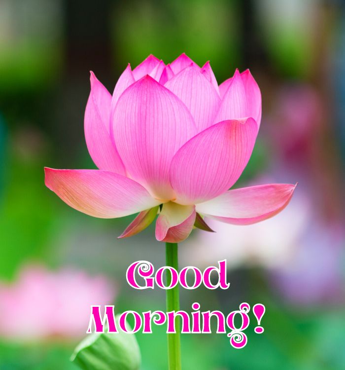 good morning image today