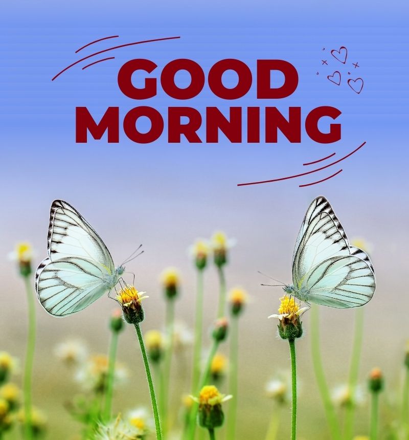 good morning images