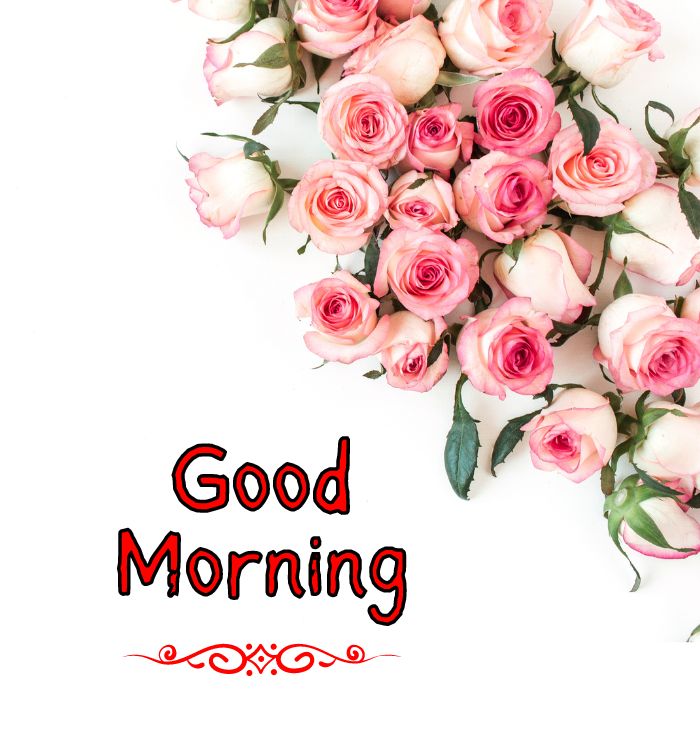 good morning images for whatsapp