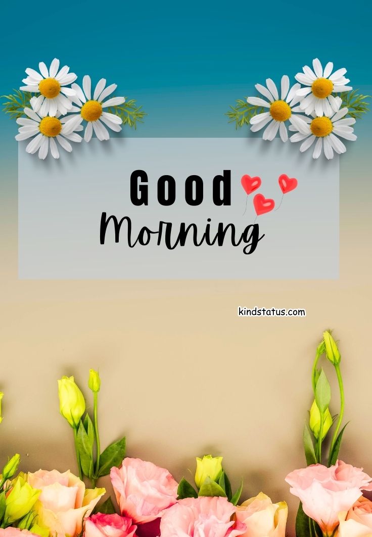 good morning images new