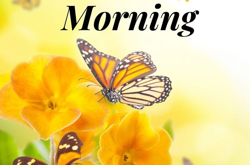 500+ New Good Morning Images, Quotes, & Wishes