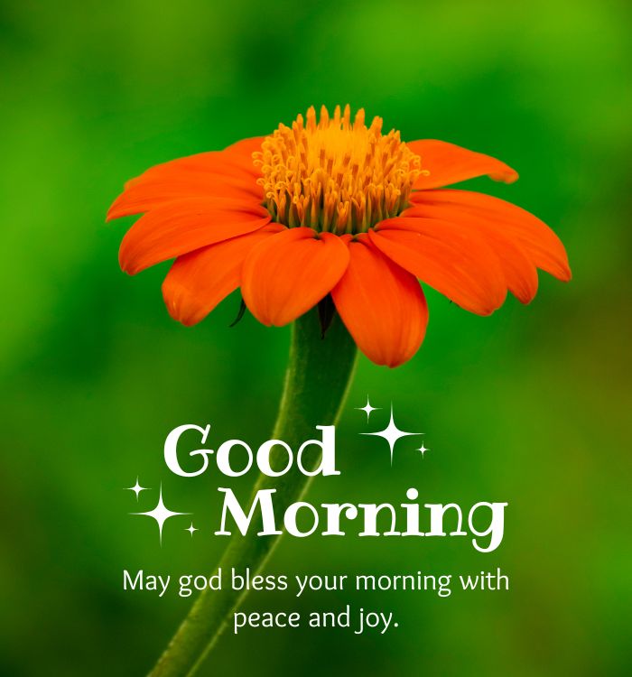 good morning images new one