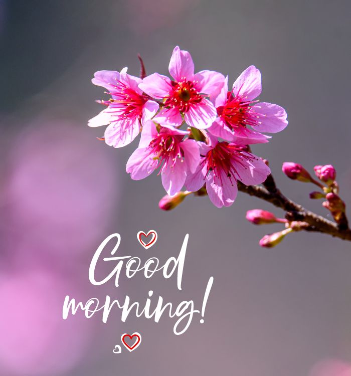 good morning images new style