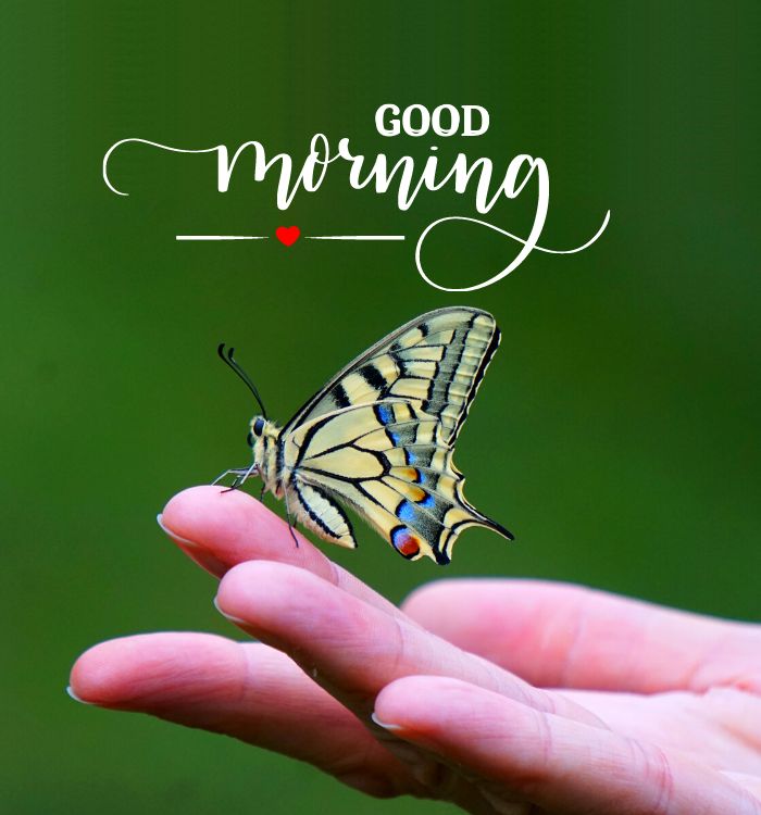 good morning images with quotes for whatsapp