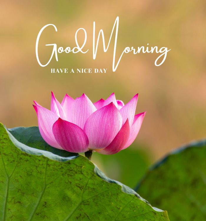 good morning imege