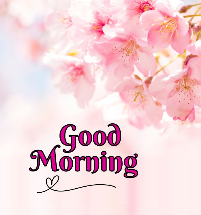 good morning new image