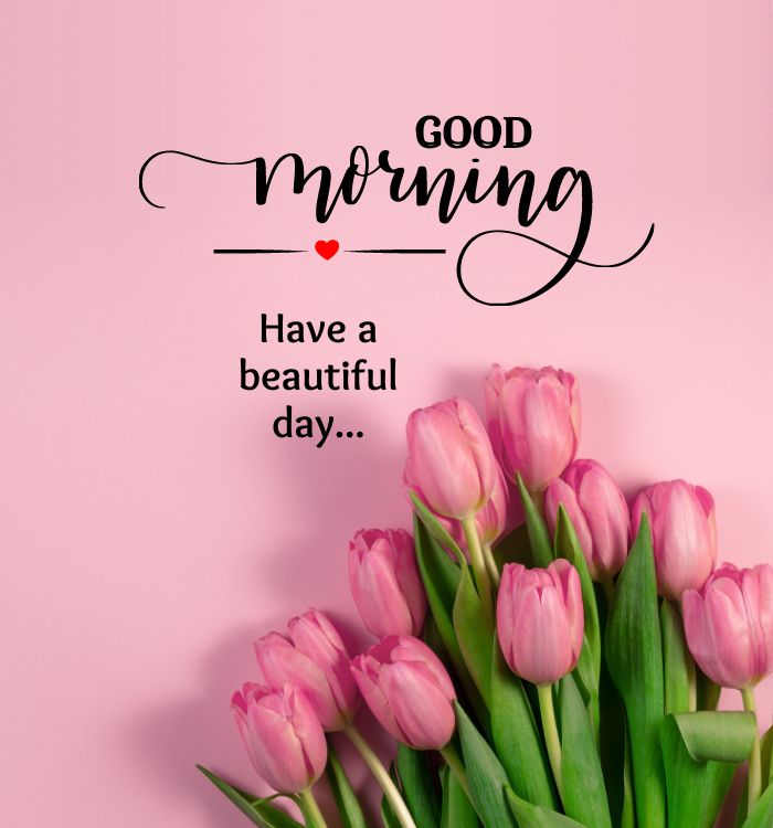 good morning new