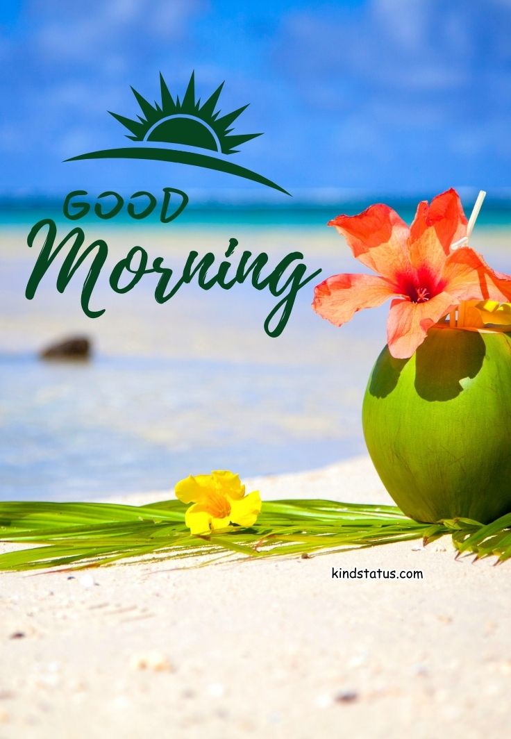 good morning photo