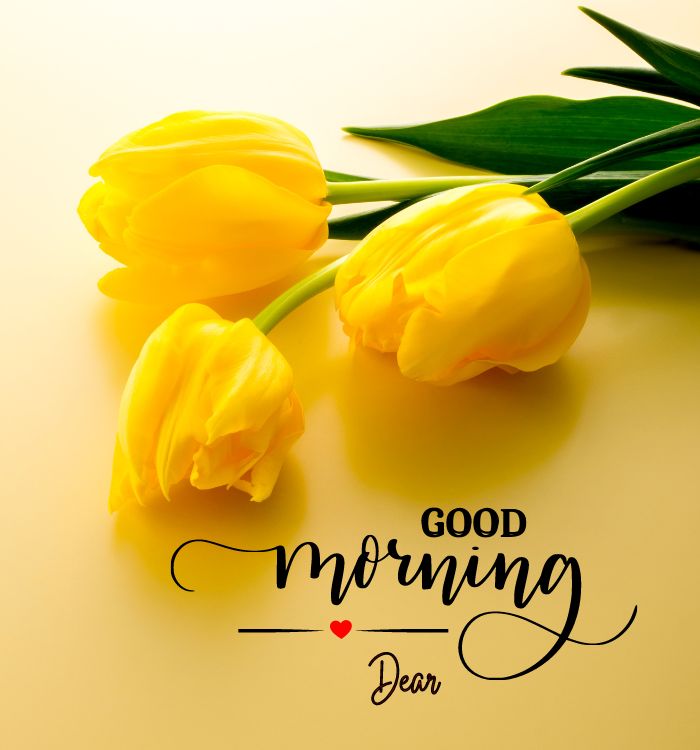 good morning photos