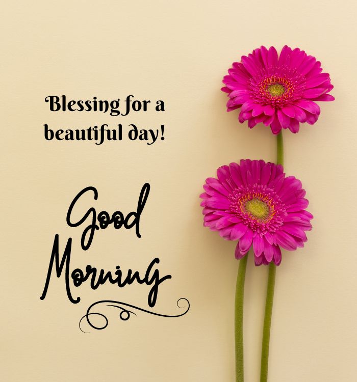 good morning pic