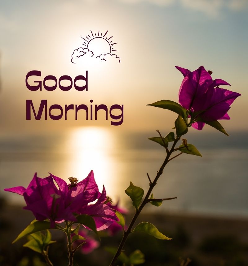 good morning pics