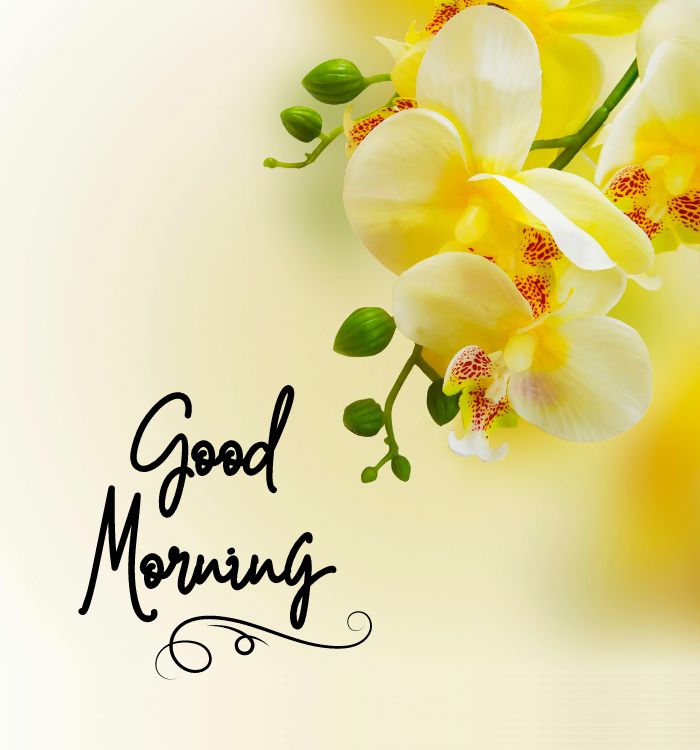 good morning picture