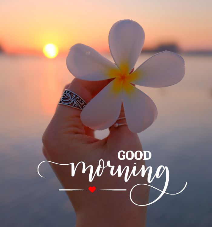 good morning quotes