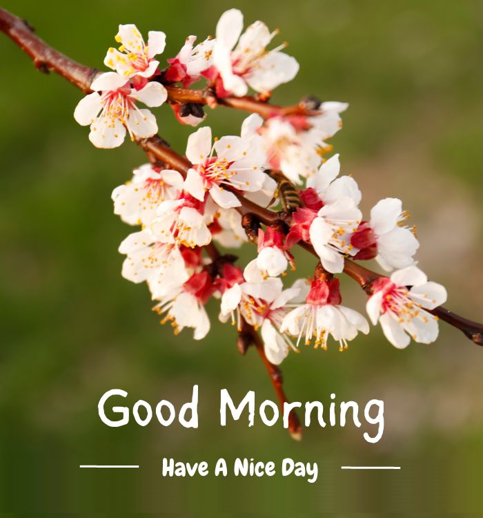 good morning today (2)