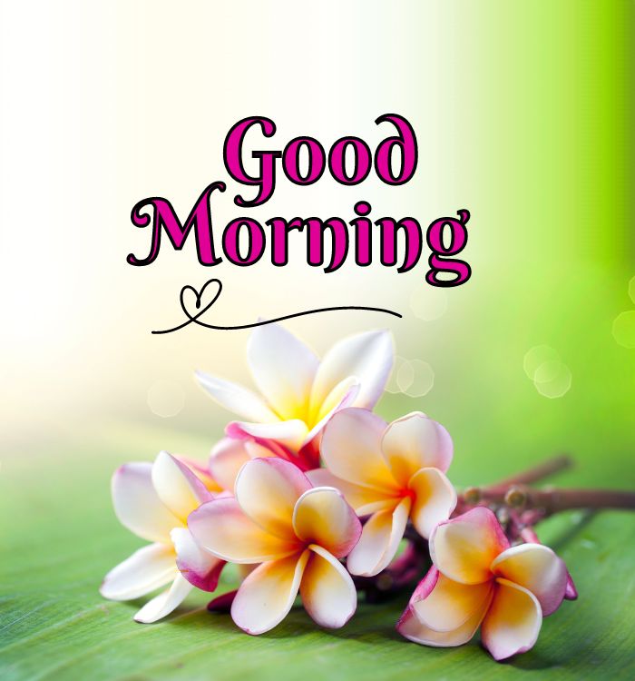 good morning today image