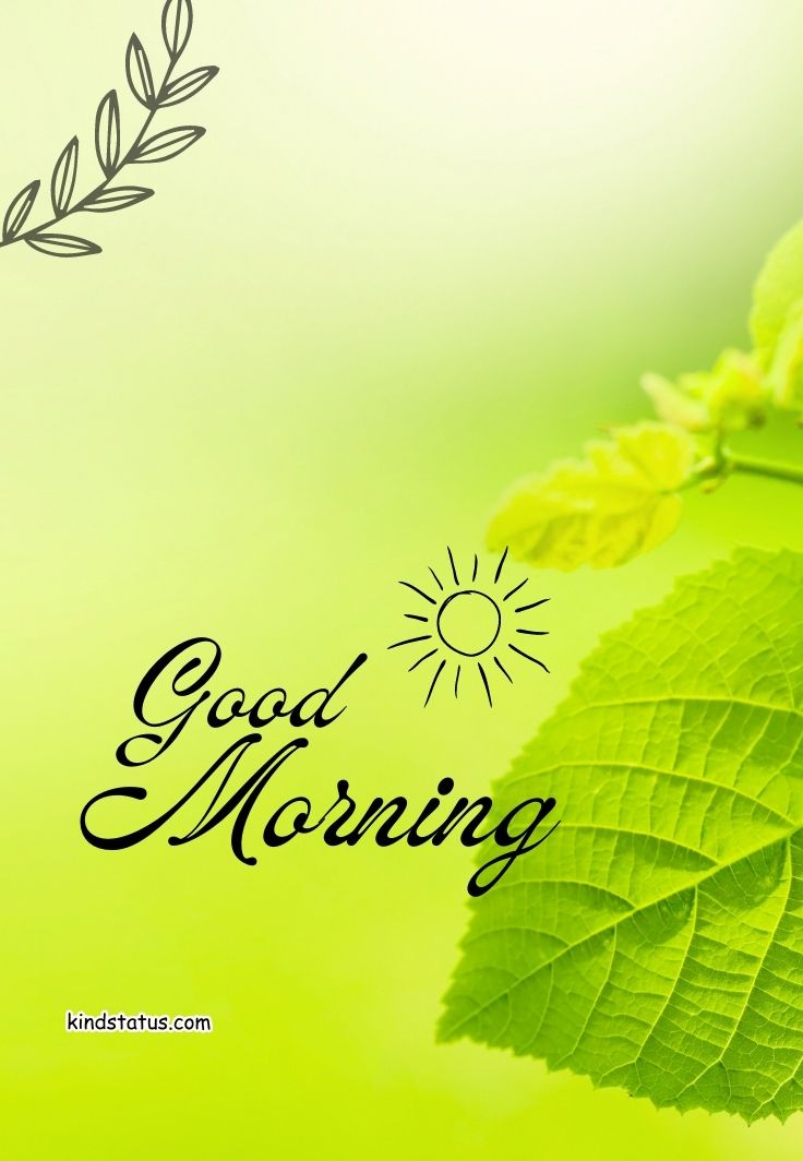 good morning wishes