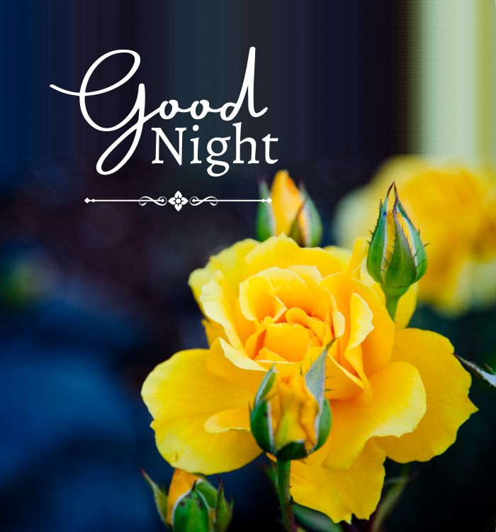 good nigh