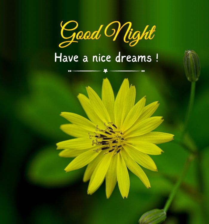 good night beautiful images
