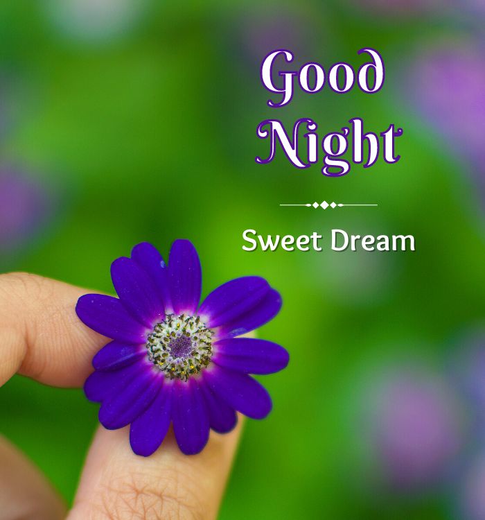 good night cute images