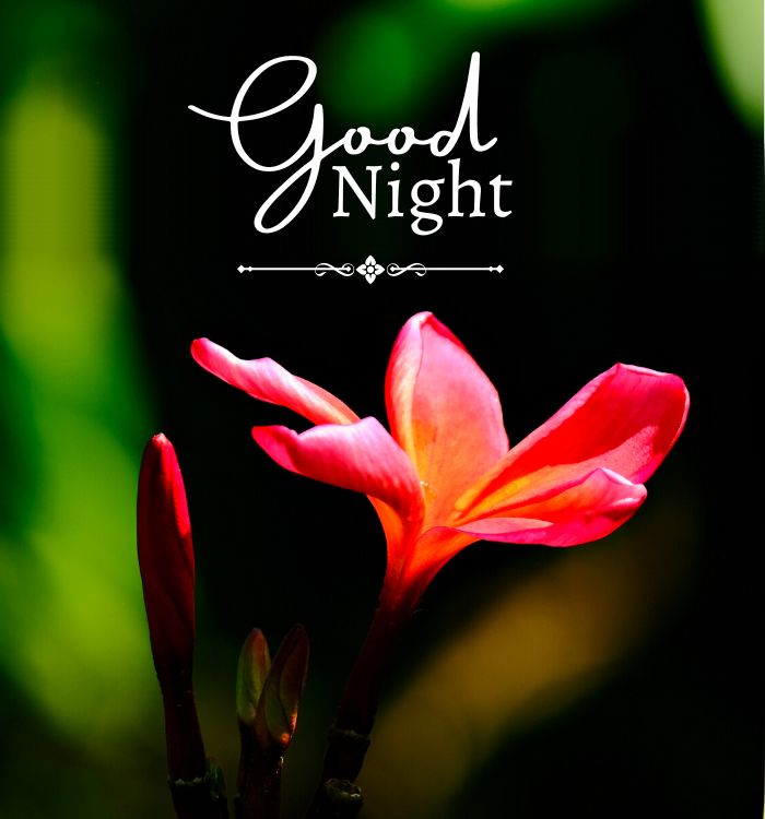 good night hd images