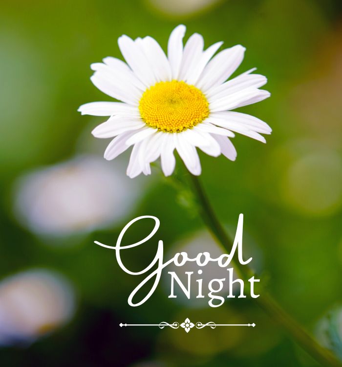 good night hd