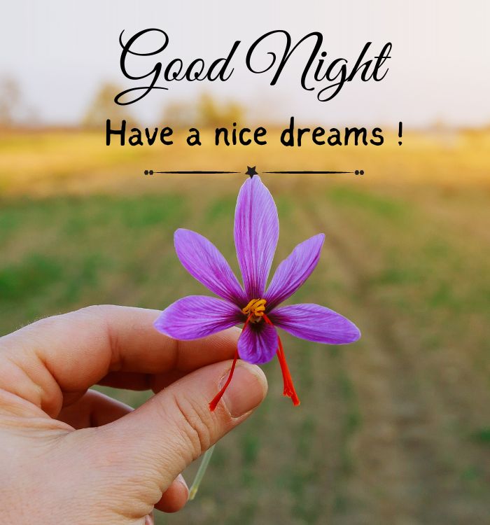 good night image hd