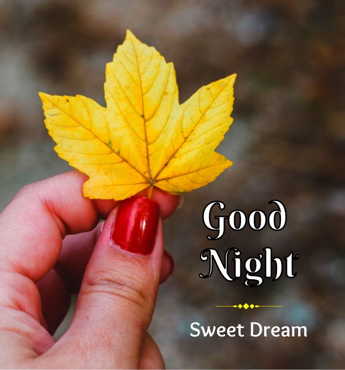 good night image
