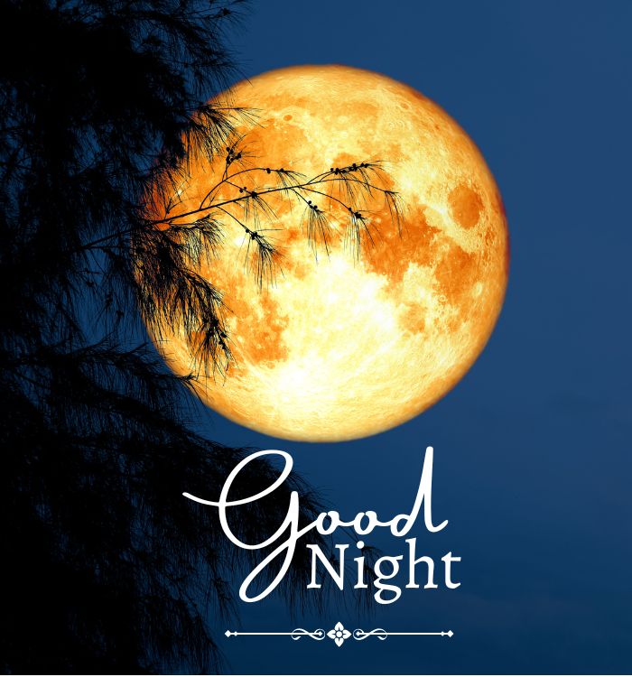 good night images hd