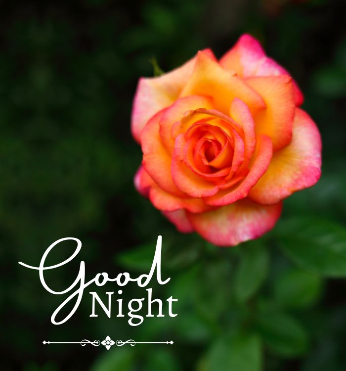 good night images hindi