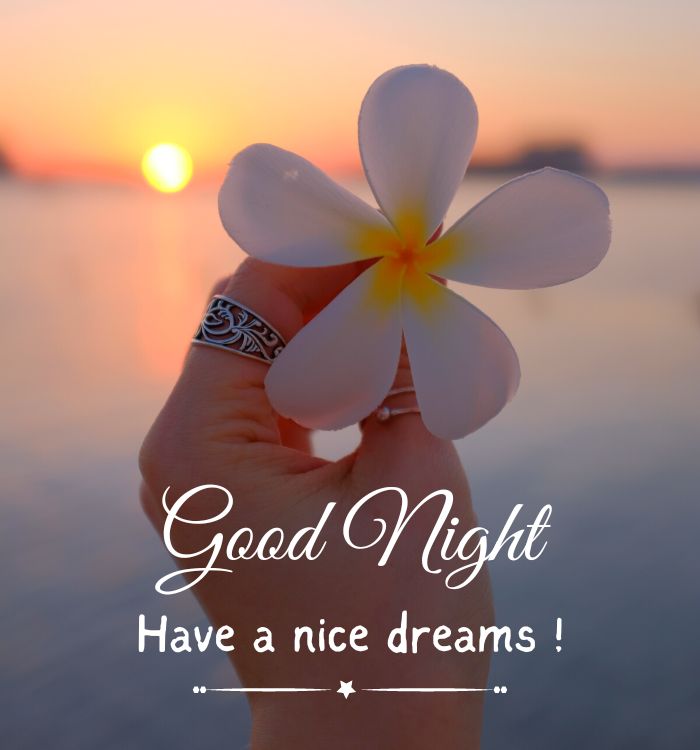 good night images in english