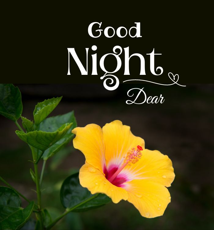 good night images new