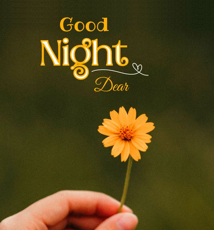 good night images with quotes