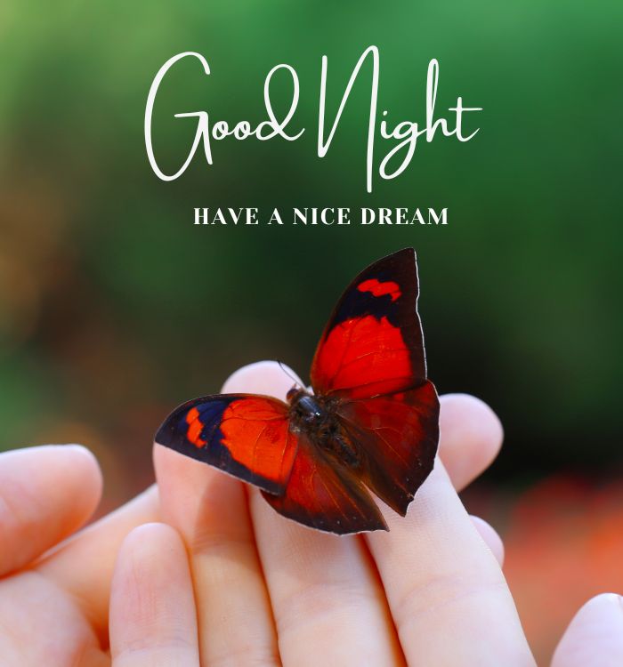 good night ke wallpaper (2)