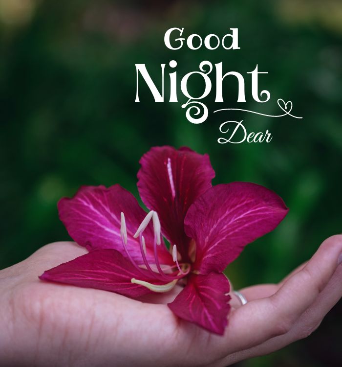 good night ki photo