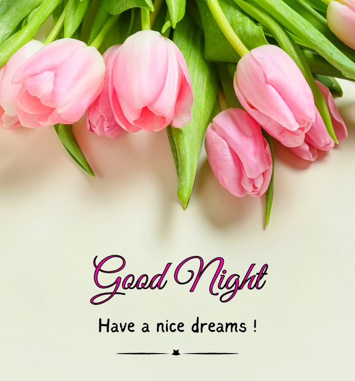 good night love pic