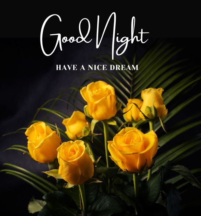 good night nature images