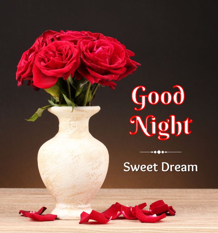 good night photo love