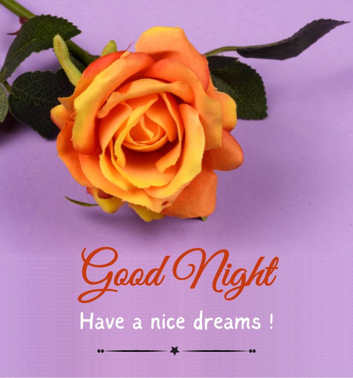 good night pics beautiful